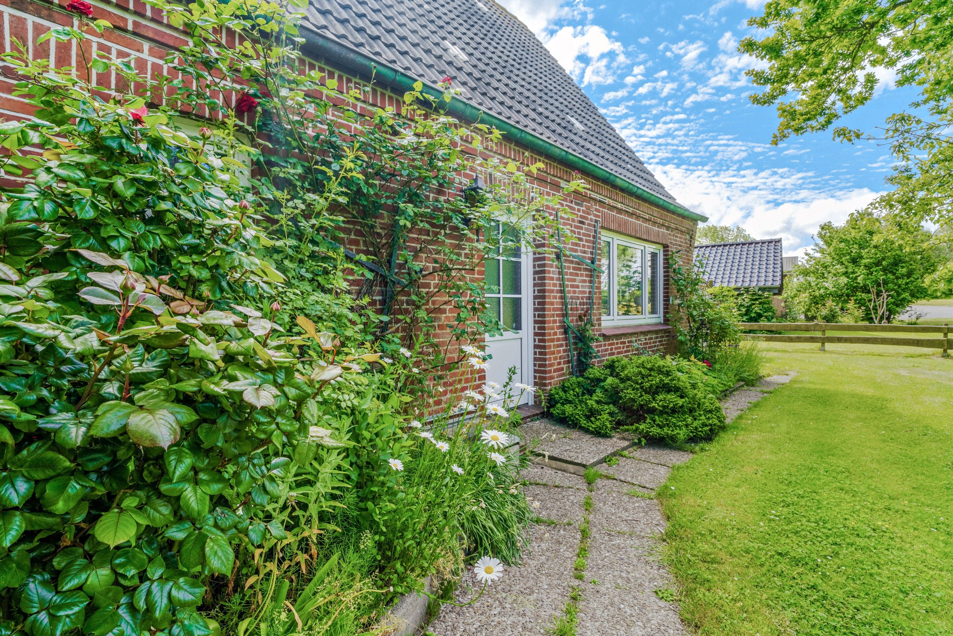 Udendørsområde