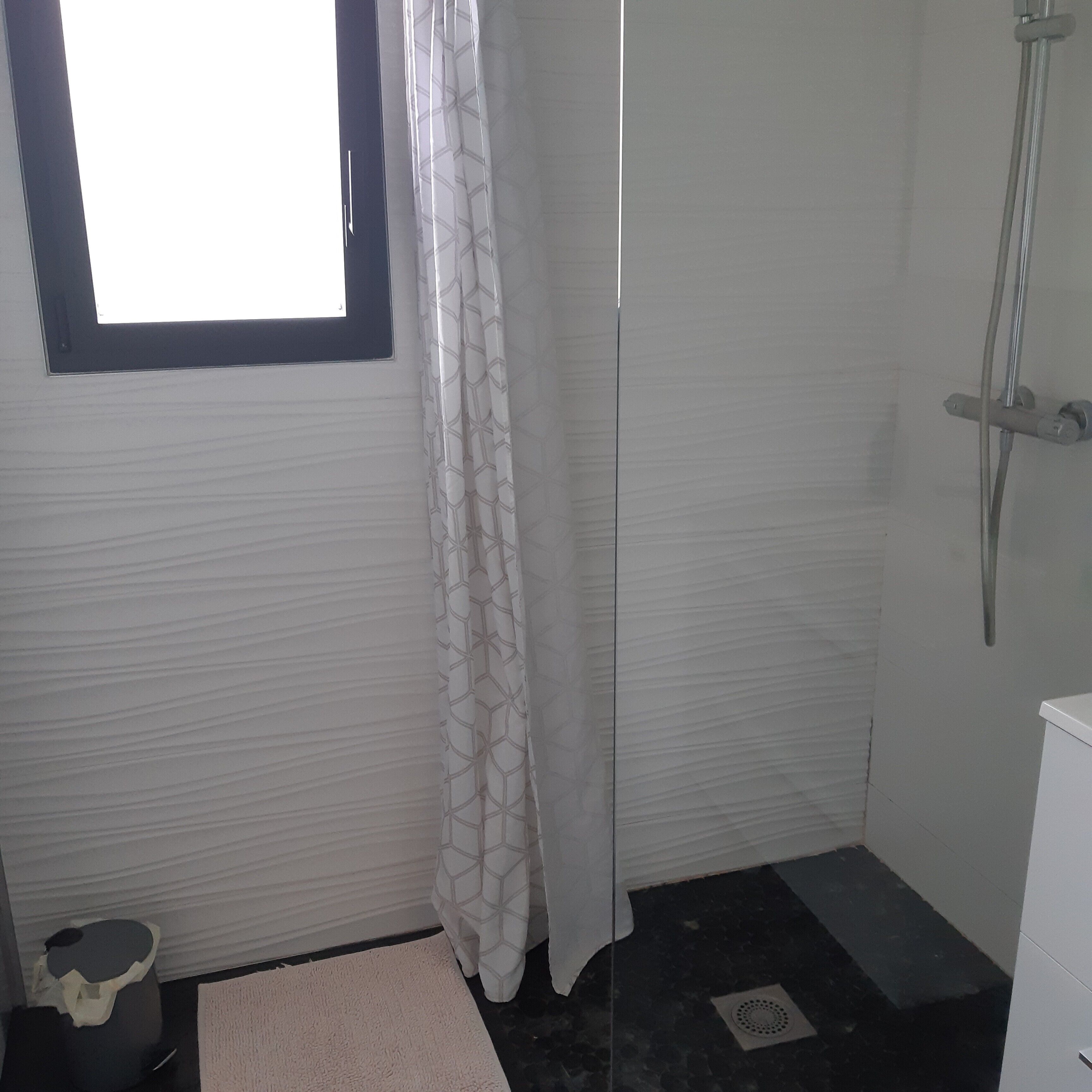 Shower, hair dryer