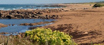 Piscine sur place | Proche du port & des commerces