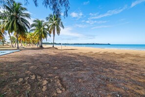 A beach with palm trees and a clear sky. - Luxe Yunque Retreat | Pool & Beach Access (Río Grande)