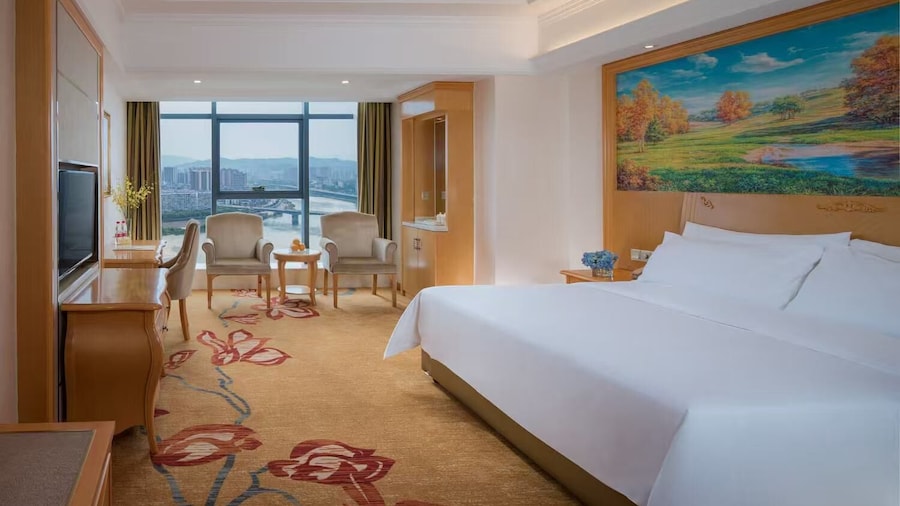 Vienna International Hotel - Dayong city