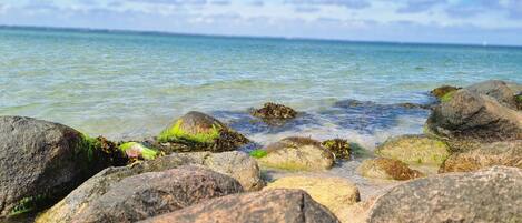 Plage à proximité
