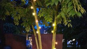 A tree with lights, a stone wall, and a metal fence. - Holiday Home 'Cupedia' with Wi-Fi (Schwedeneck)