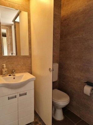 A bathroom with a sink, mirror, toilet, and a door leading to another room.