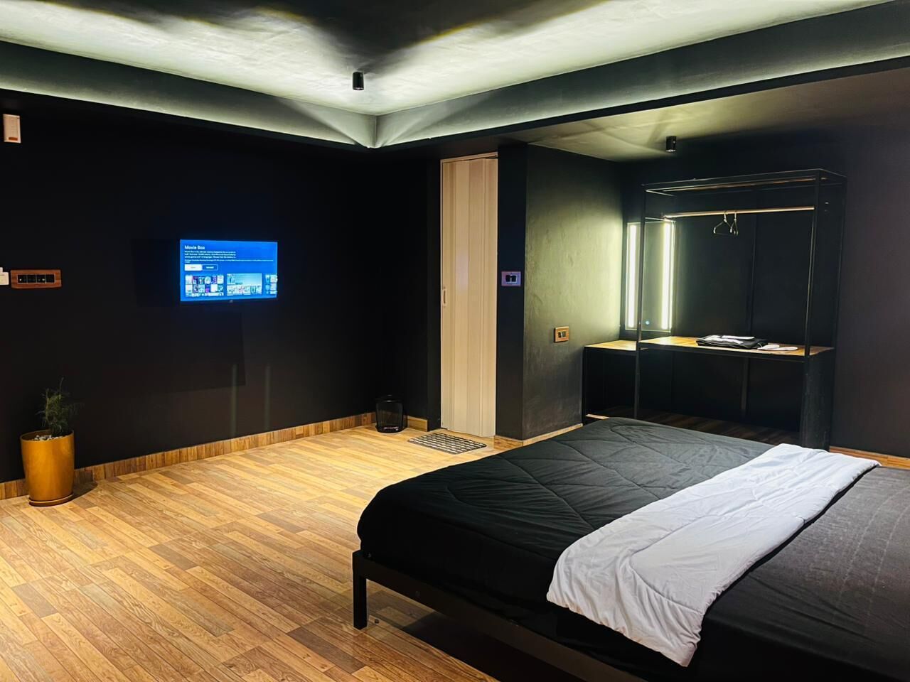 A modern bedroom with a bed, a television, a wardrobe, and a potted plant.