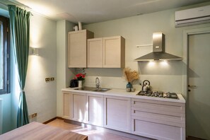 Una cucina compatta con un fornello a gas, un lavello e pensili.
