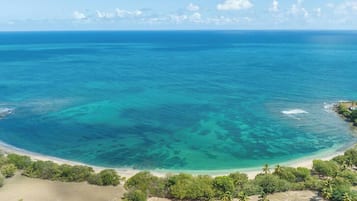 Un paisaje costero con vista despejada al océano, una playa de arena y vegetación densa.