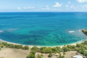Un paysage côtier offrant une vue dégagée sur l’océan, une plage de sable et une végétation luxuriante.