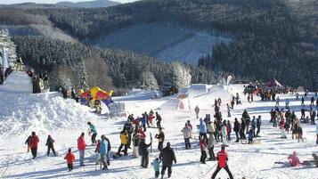 Wintersport/Ski