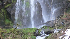 Une cascade d’eau se déversant sur des rochers couverts de mousse, avec une forêt en arrière-plan.