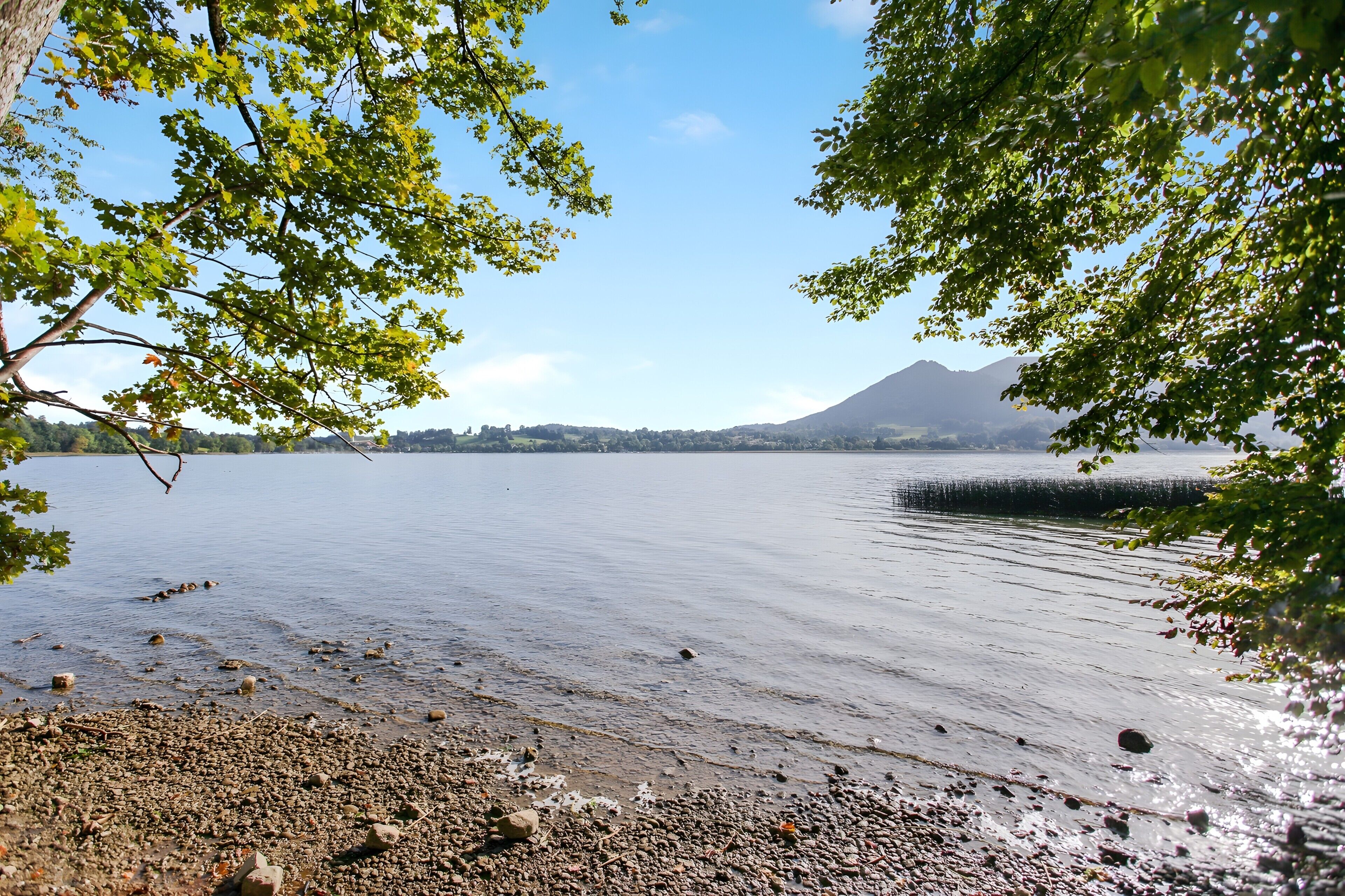 Un lago tranquilo con una montaña al fondo, rodeado de árboles.