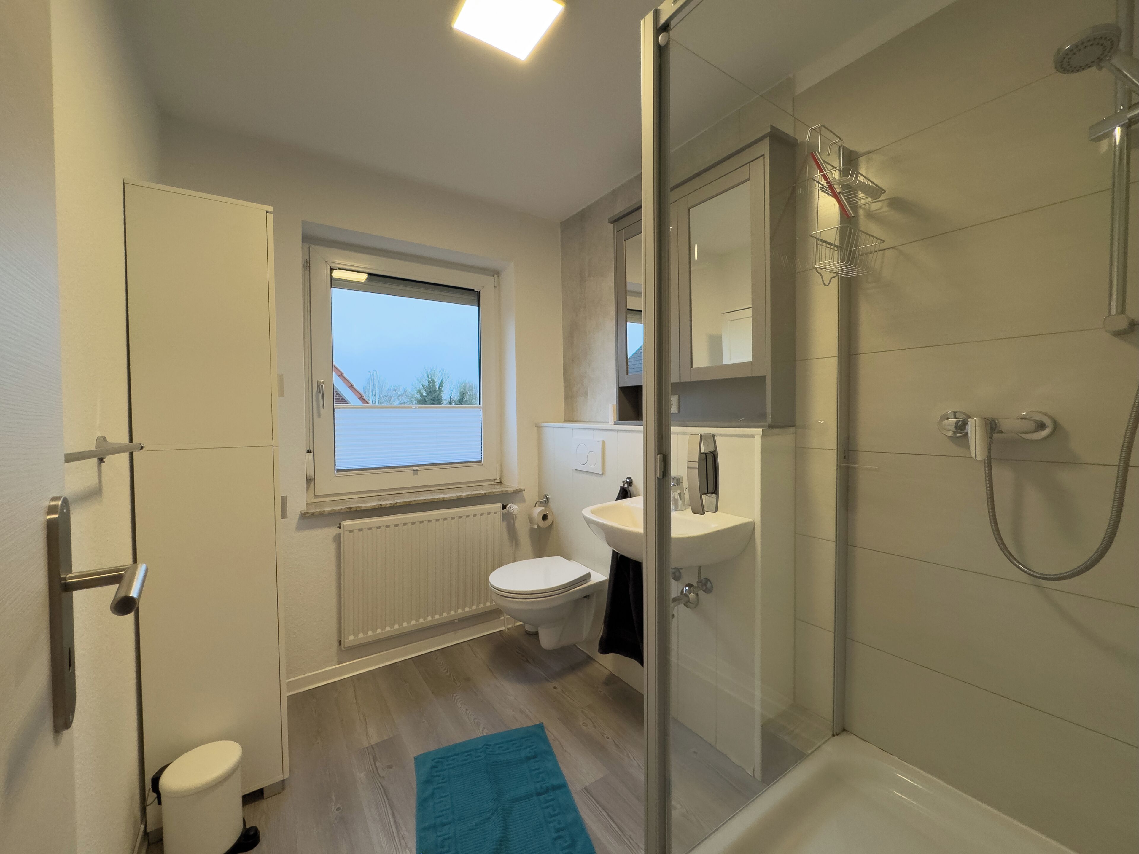 Shower, hair dryer