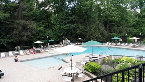 Una piscina con sillas de descanso y sombrillas, rodeada de árboles.