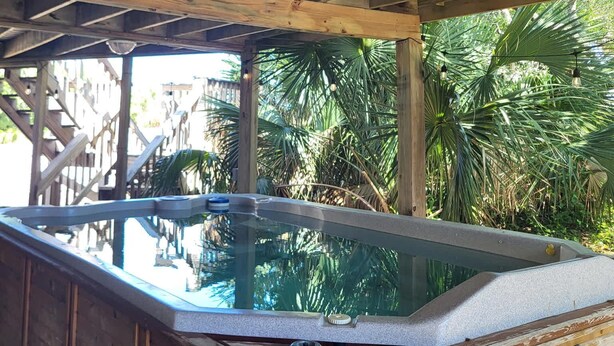 Une structure en bois avec une piscine, entourée de palmiers.