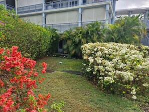 A garden with various plants and a building with a balcony in the background. - Le Petit Lolo - Studio à 5km de la plage (Saint-Francois)