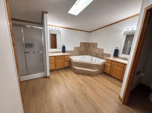 Shower, jetted bath, towels, soap - Just listed & remodeled. Amazing lake views, 3BR home seconds from Angostura! (Hot Springs)