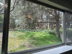 A window with a view of a forested area, a wooden fence, and a grassy field.