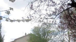 A house with a front yard, a patio, and a garage. - Guest Room "Les Charmilles - Beige Room" (Charny-sur-Meuse)