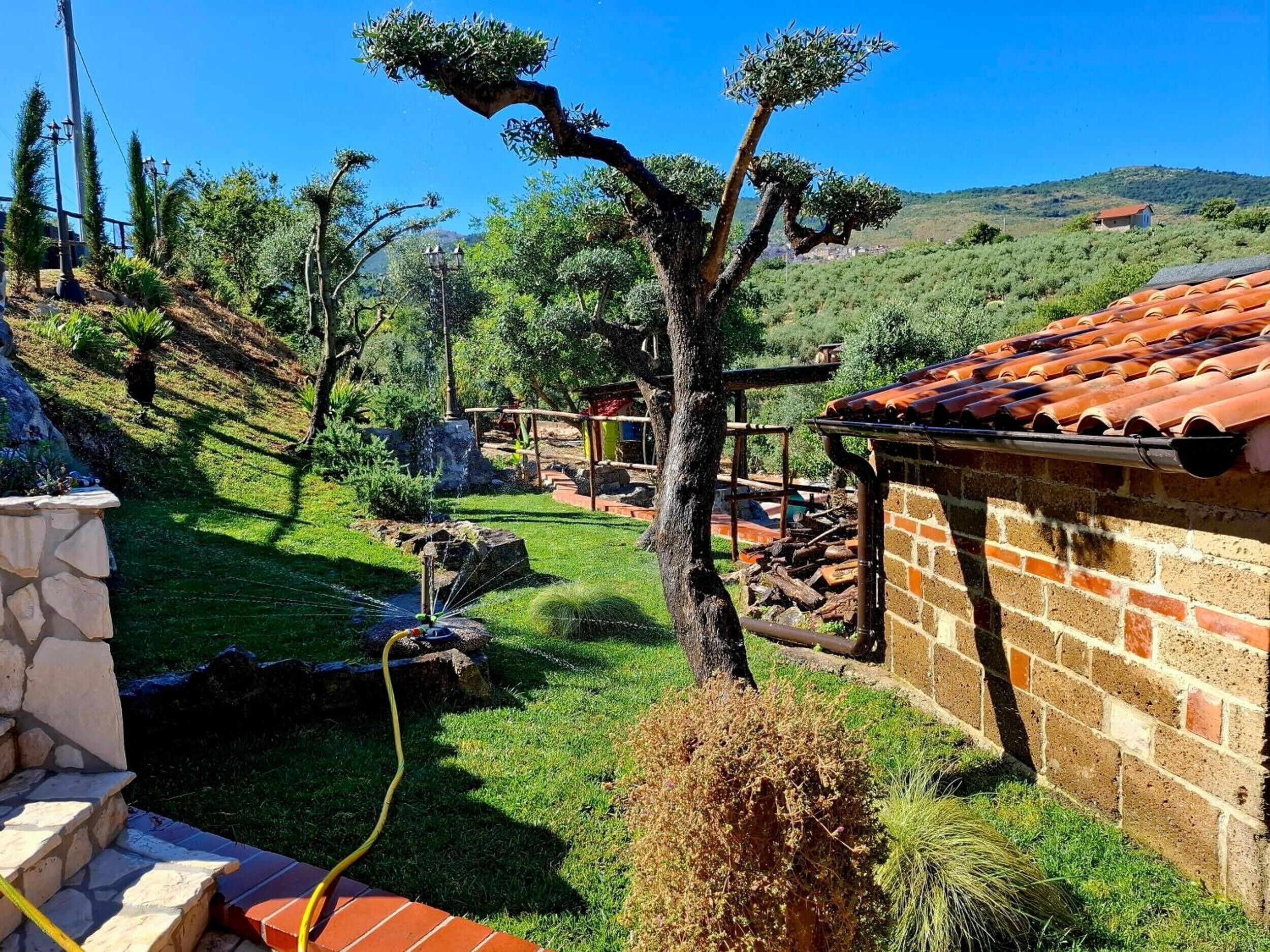 Overnatningsstedets område