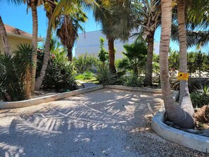 A paved pathway surrounded by palm trees and various plants, leading to a building with a yellow facade.