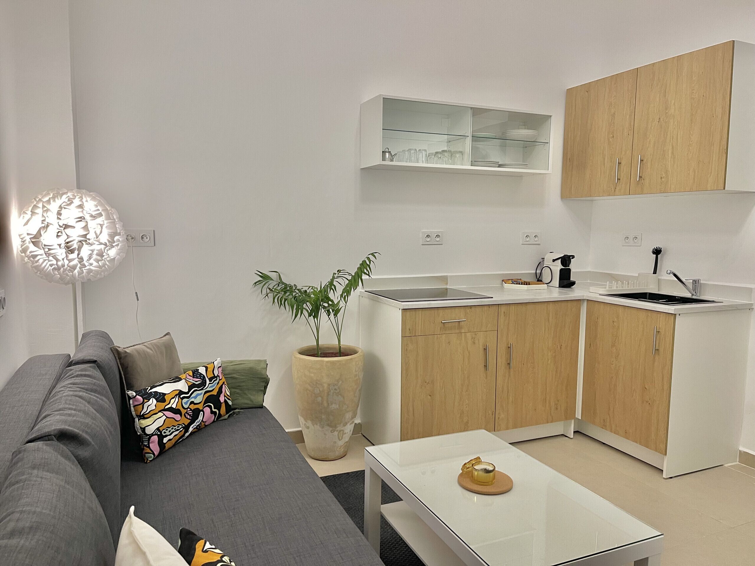 Un salon moderne avec un canapé, une table basse et une plante en pot. À côté se trouve une cuisine avec des meubles en bois, un évier et un plan de travail.