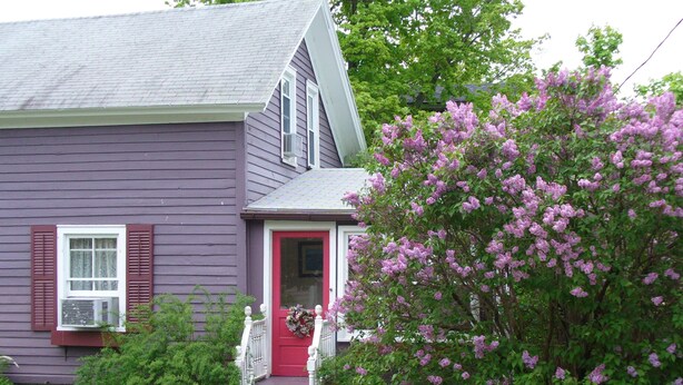 A house with a red door, a small porch, and a tree with purple flowers.