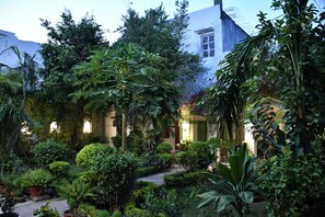 A lush garden with various plants and a pathway leading to a building.