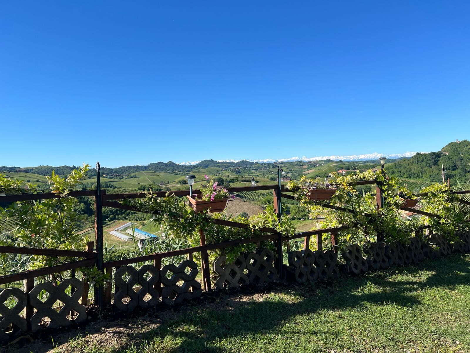 Un vignoble entouré d’une clôture en bois, offrant une vue dégagée sur le paysage environnant.