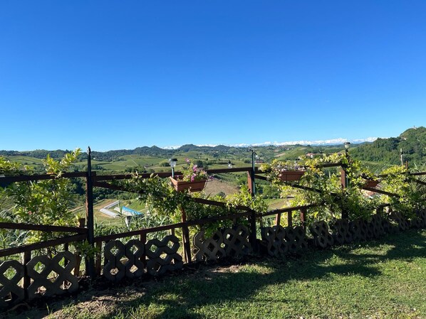 Ein Weinberg mit Holzzaun und weiter Aussicht auf die umliegende Landschaft.