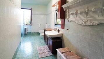 Shower, hair dryer, bidet, towels