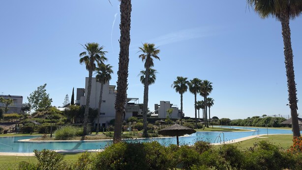 Un espace piscine agrémenté de palmiers, un bâtiment à l’architecture moderne et un ciel d’un bleu limpide.