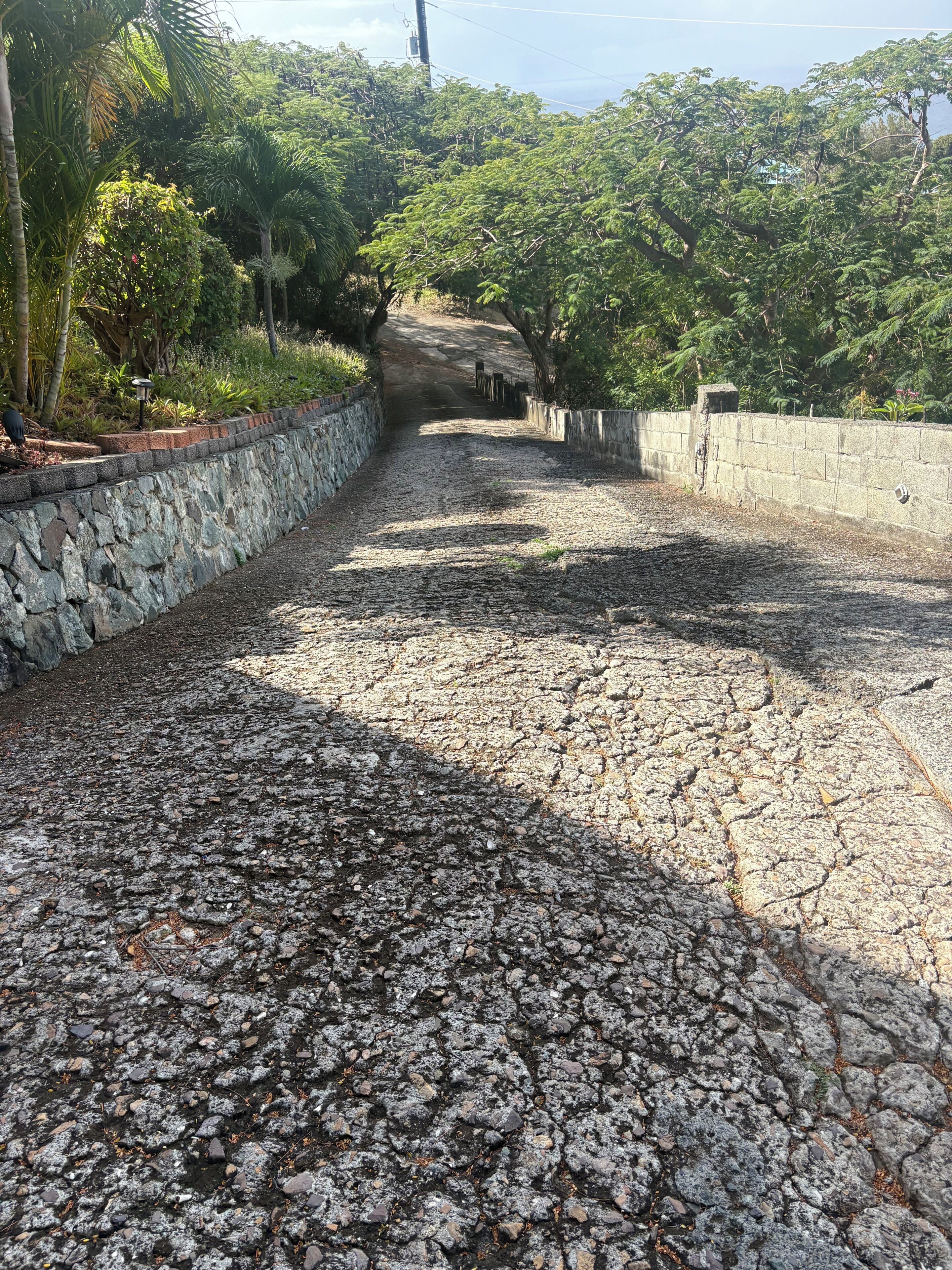 Un sendero serpentea por un jardín, flanqueado por un muro de piedra y otro de hormigón, todo rodeado de abundante vegetación.