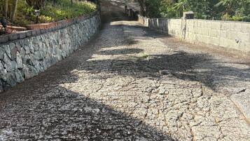 Un sendero serpentea por un jardín, flanqueado por un muro de piedra y otro de hormigón, todo rodeado de abundante vegetación.