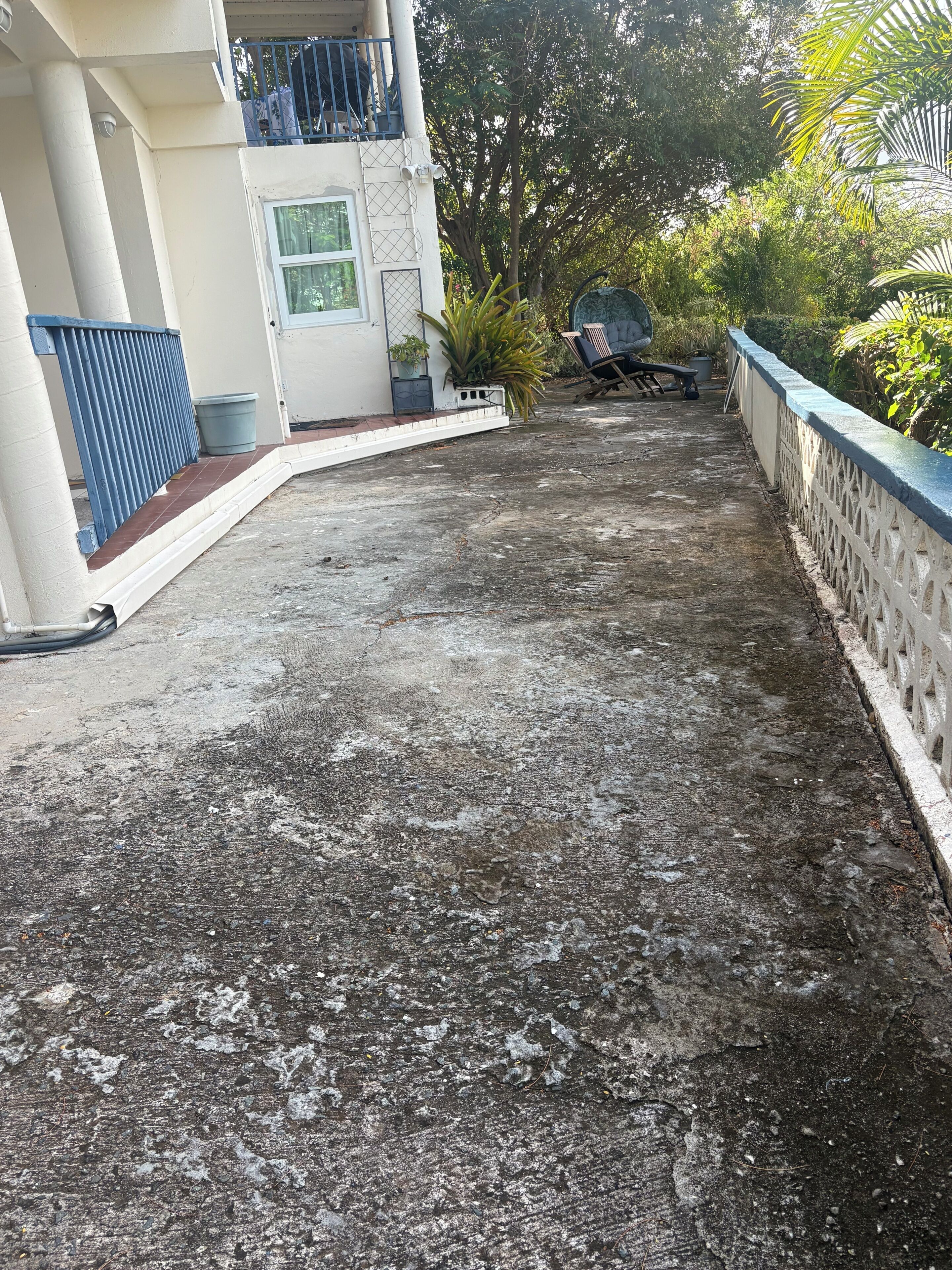 A concrete pathway leading to a building with a white facade, a blue railing, and potted plants.