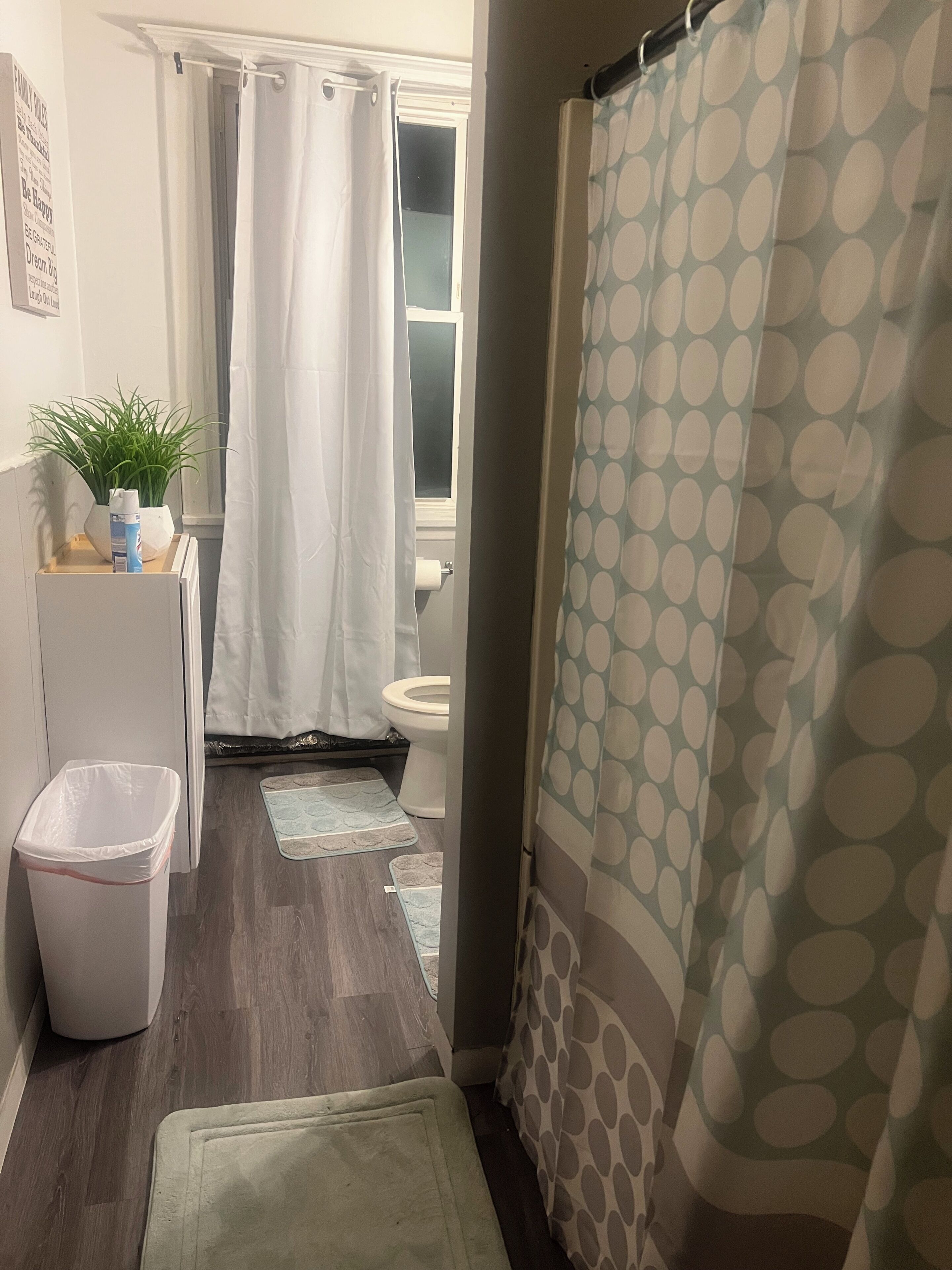 Shower, hair dryer, towels, toilet paper