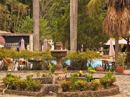 Un jardín con una fuente de piedra, rodeado de plantas y árboles.