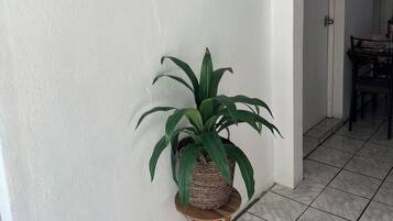 Un pasillo con obras enmarcadas en las paredes, una planta en maceta sobre un taburete y un suelo de baldosas.