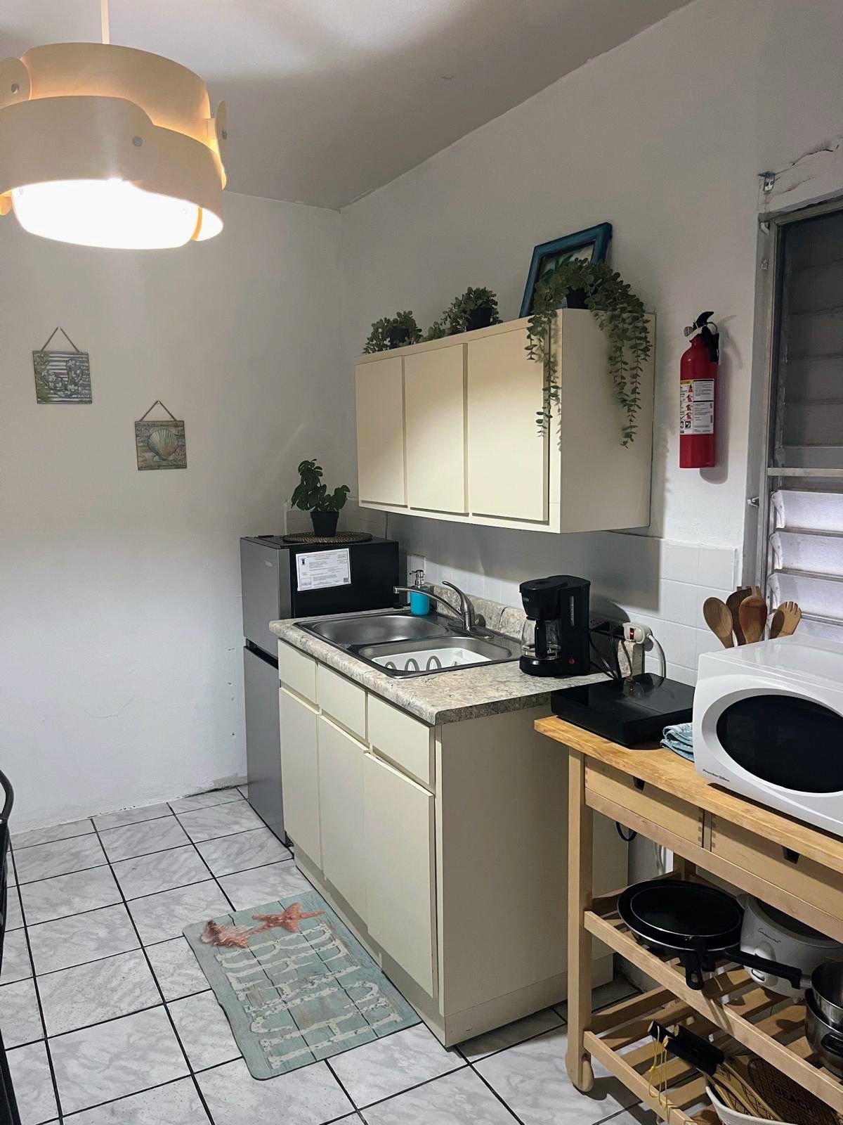 Cocina compacta con fregadero, estufa y microondas. Hay armarios sobre la encimera, una planta colgante y un extintor en la pared.