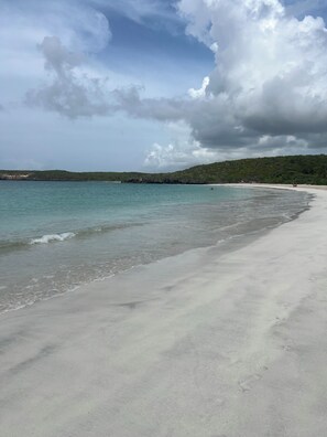 在海灘附近