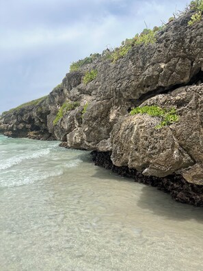 Une côte rocheuse bordée d’une eau claire et où la végétation pousse sur les falaises.