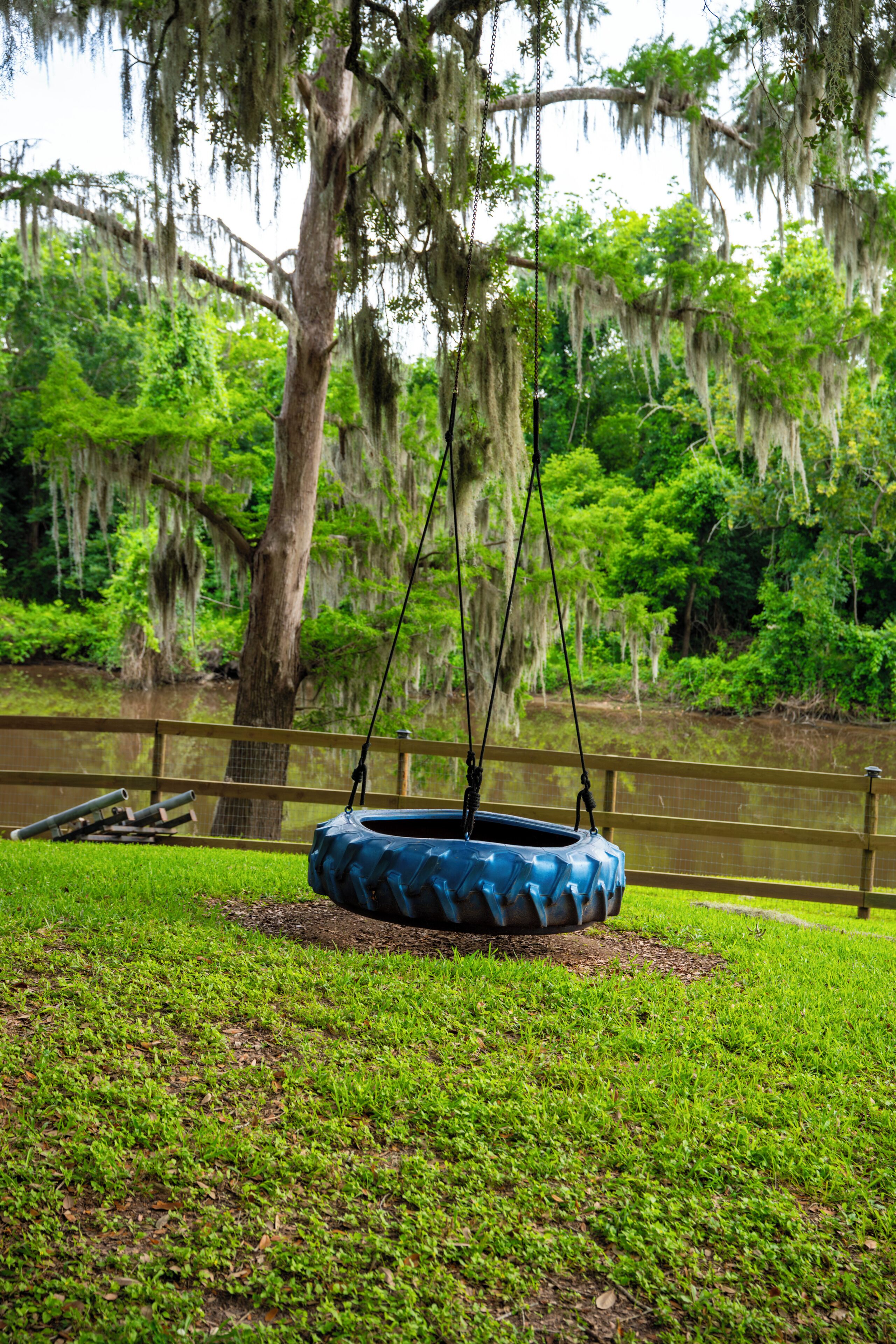 A swing set with a tire swing, surrounded by grass and trees with Spanish moss.
