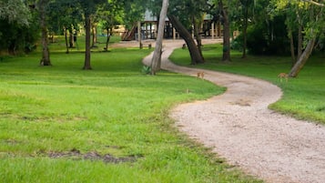 Casa Luxury, vista fiume | Parco della struttura