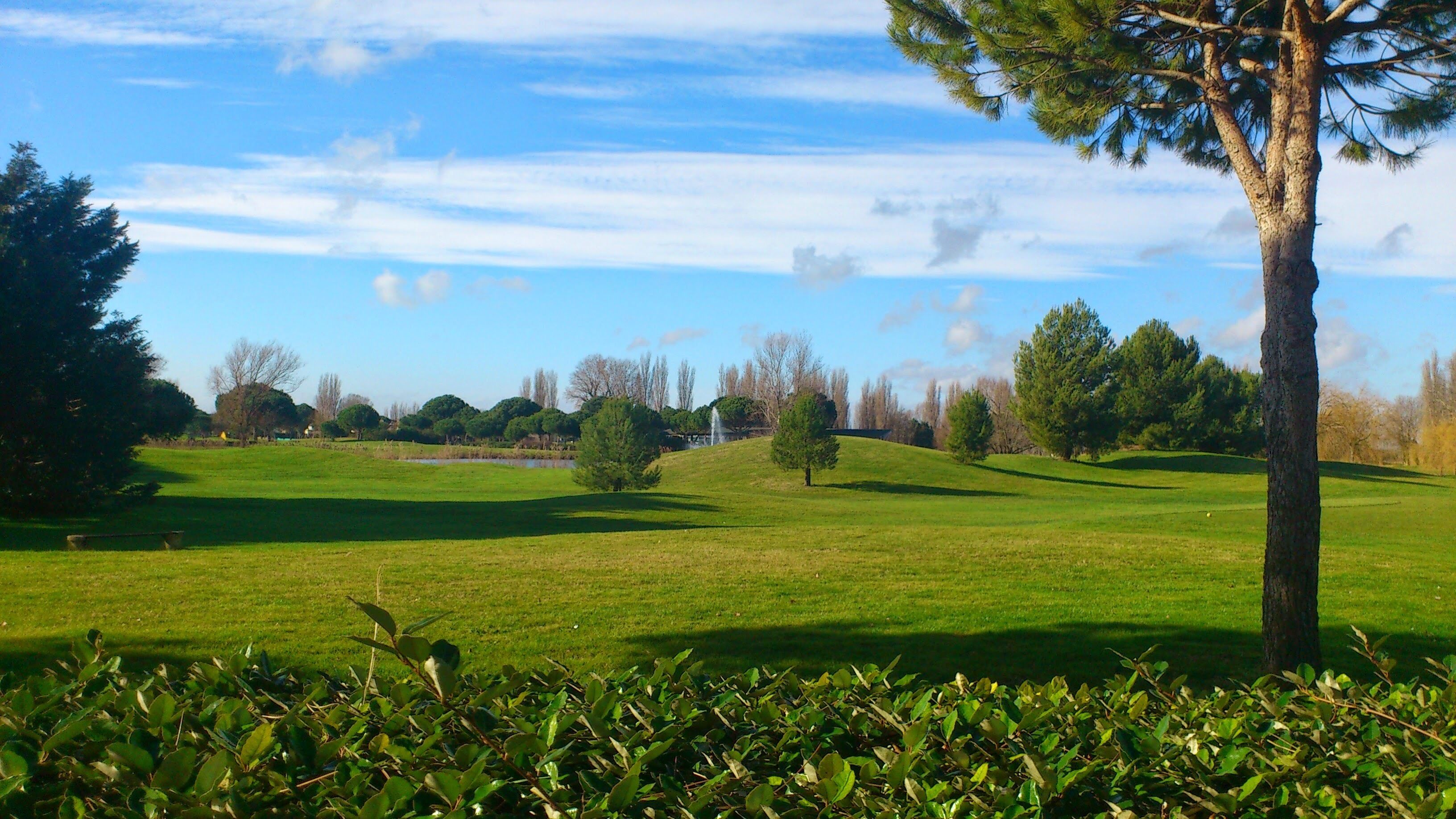 Golf