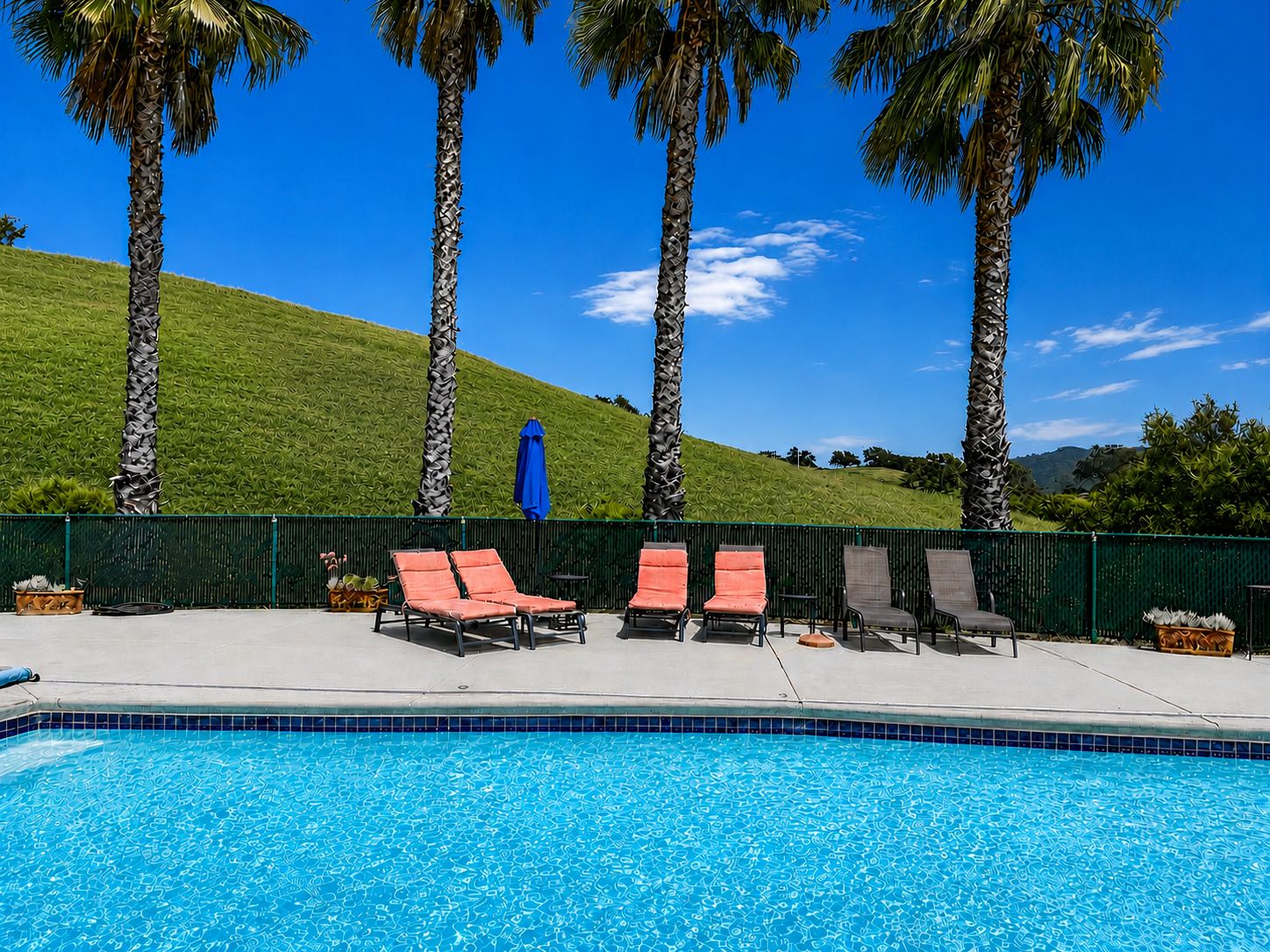 A swimming pool with lounge chairs and palm trees.
