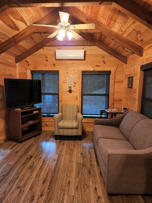 Living area - Cozy 1-bedroom cabin in charming Burnsville (Burnsville)