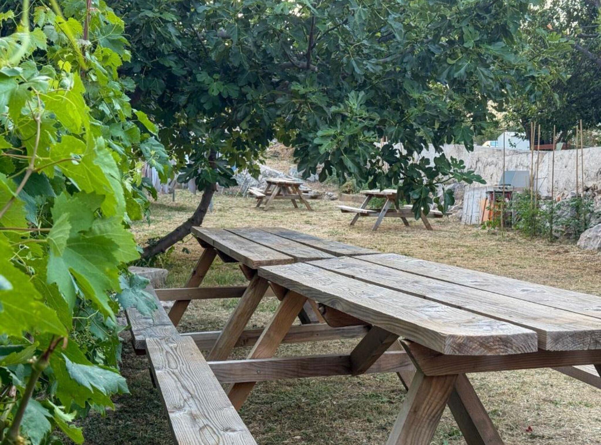 Une table de pique-nique dans un jardin, avec des arbres et une clôture en arrière-plan.
