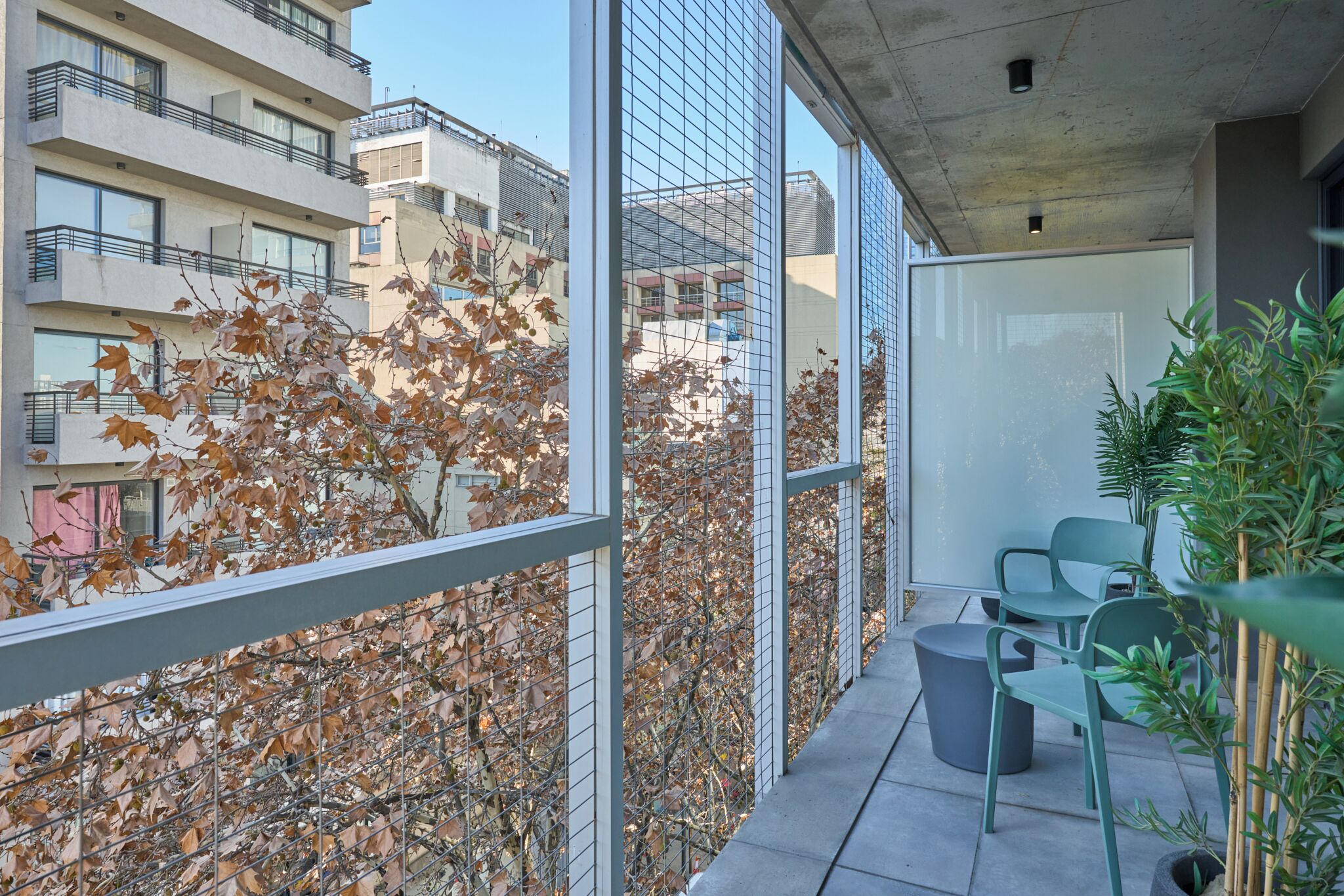A balcony with a view of autumn leaves, a seating area with chairs, and a potted plant.