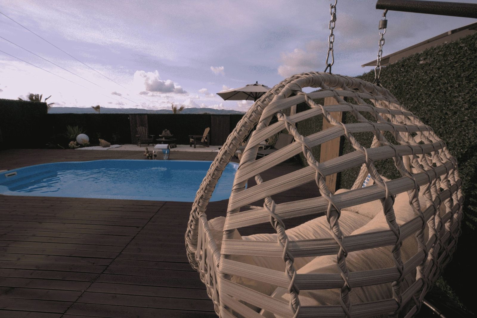 A hanging chair by a swimming pool with a wooden deck and a hedge in the background.