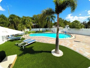 Pool - Clearwater Coastal Retreat | Pool•Pets Welcome #15 (Clearwater)