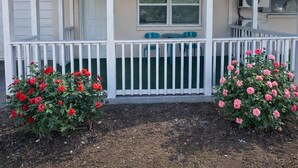 A single-story building with a porch, a door, and two windows. - Cozy apartment with pool in Clearwater #515 (Belleair)